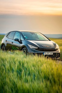 Black car standing in a field during a colorful sunset, Deer e-car sharing, Cupra electric car,