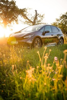 Black car in front of sunset in a meadow, deer e-car sharing, Cupra electric car, Germany