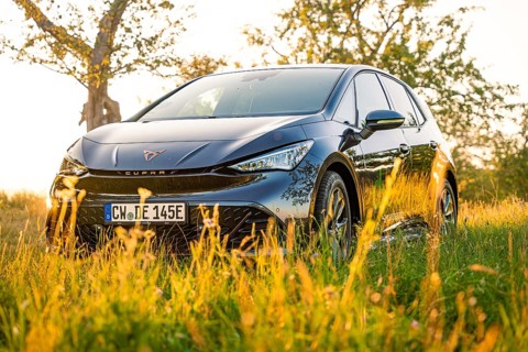 Black car standing in a meadow in sunlight next to a tree, Deer E-Car Sharing, Cupra electric car,