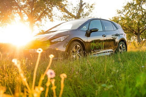 A car in a meadow during sunset, surrounded by flowers and natural light, deer e-car sharing, Cupra