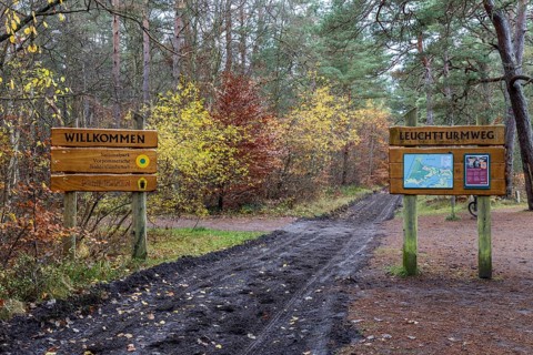 Trail with signs through autumn forest, autumn-colored leaves, Darßwald, Fischland-Darß-Zingst,