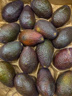 Avocado Avocados Superfood on display from grocery store grocery store grocery store deli