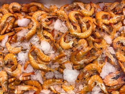 White tiger prawn (Penaeus vannamei) (Whiteleg shrimp vannamei) delicacy from assortment seafood