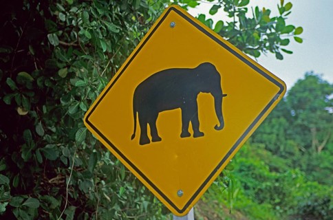 Elephant warning sign, Ko Phuket, Thailand, December 2002, vintage, retro, old, historic