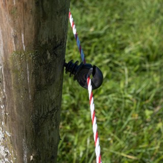 Insulator on an electric fence, willow fence, detail, Upper Bavaria, Bavaria, Germany
