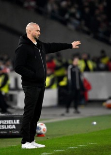 Coach coach Christian Ilzer TSG 1899 Hoffenheim on the sidelines gesture gesture MHParena, MHP