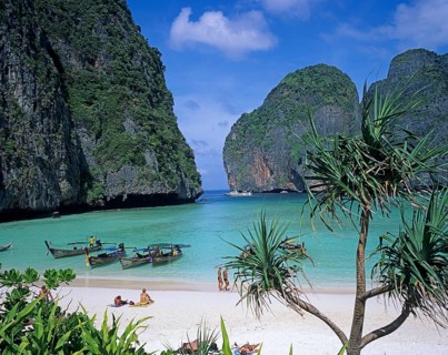 Palm tree and longtail boats on Maya Bay beach, known from the movie The Beach, one year in front