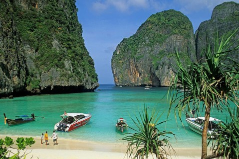 Palm tree, people, longtail boats on Maya Bay beach, known from the movie The Beach, one year in
