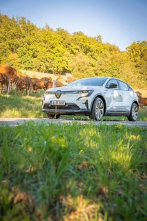 A white electric car is parked in a meadow near a pasture with cows in a rural area, deer e-car
