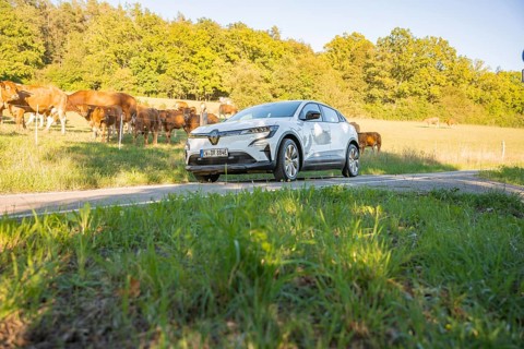White car on a path through a green meadow with cows and trees in the background, deer e-car