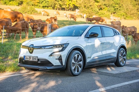 White car on a rural road next to a pasture with cows in the background, deer e-car sharing,