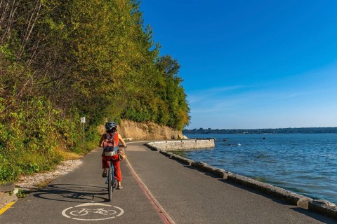 Tourist cycling through stanley park, soaking in stunning ocean views and vibrant cityscapes on a