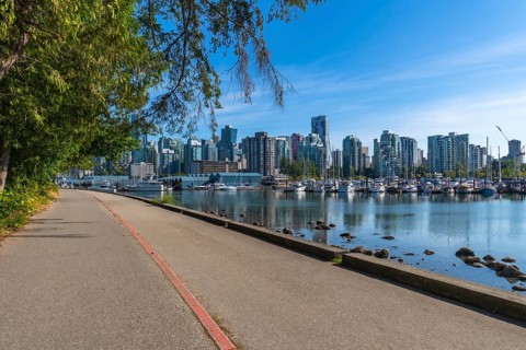 Lush green trees frame a tranquil paved pathway bordering a calm marina filled with boats, with the