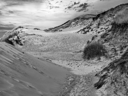 Dune landscape, Red Cliff, hiking trail, sunset, monochrome, Wenningstedt, North Sea, Germany
