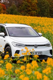 A white car is parked in a yellow flower field under a clear sky, Deer E-Carsharing, VW ID4, Calw,