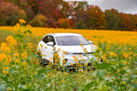 An SUV stands in a yellow flower field with autumn trees in the background, Deer E-Carsharing, VW