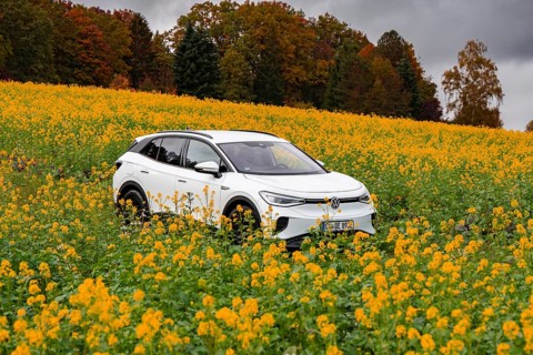 White SUV driving through a yellow flower field, autumnal atmosphere, deer e-car sharing, VW ID4,