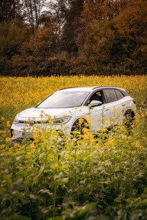 SUV surrounded by yellow flowers in a picturesque landscape, deer e-car sharing, VW ID4, Calw,