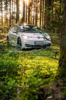 A car is parked in the shady forest next to a tree trunk under the rays of sunlight, Deer