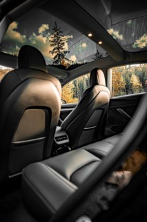 Car interior with leather seats and forest view through skylight, Deer e-car sharing, Tesla Model