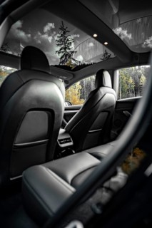 Car interior with leather seats and view of trees through skylights, Deer e-car sharing, Tesla