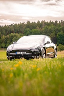 Black car on a country road with a view of green fields and forest, Deer E-Carsharing, Tesla Model