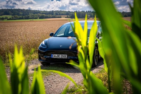 Black car between fields, partly covered by plants, in sunny weather, Deer E-Carsharing, Tesla