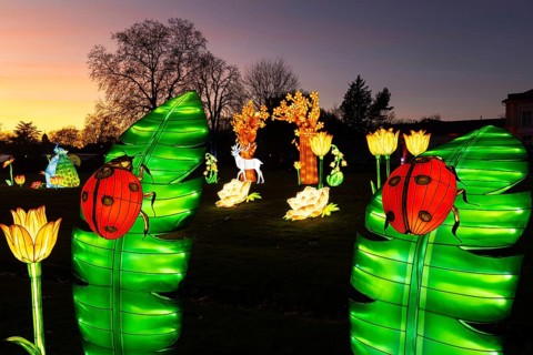 From November 29, 2025 to January 11, 2026, the palm garden and its partner World of Lights