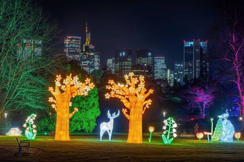 The light installations of the winter lights in the palm garden shine in front of the skyscrapers
