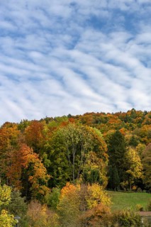 Herbstlicher Mischwald, Happurg, Middle Franconia, Bavaria, Germany