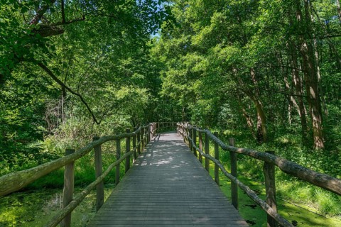 Wooden bridge on the bicycle path near Ferch, Brandenburg