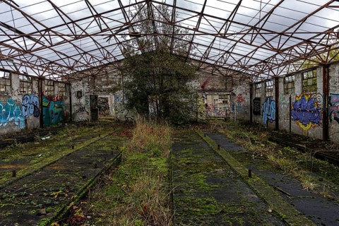 Dilapidated hall with gravity of the dilapidated plant of a former agricultural production