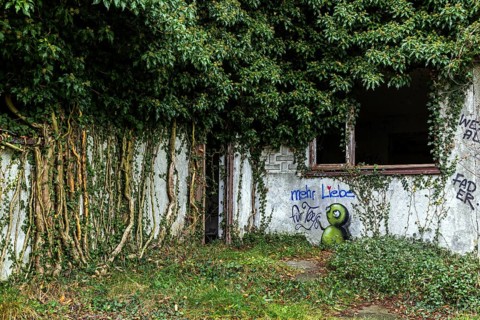 Grafity on an old house wall with ivy, dilapidated plant of a former agricultural production