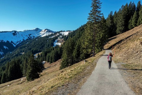Female hiker on high-altitude hiking trail from Bolsterlanger Horn to Riedberger Horn, back