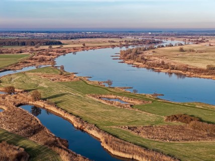 The Elbe in the Elbe floodplain near Bleckede in the Elbe River Landscape Biosphere Reserve on a