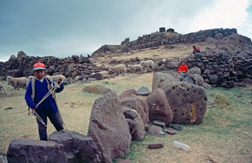 Sheep and children at the Sillustani ruins on Lake Umayo near Puno, Andean highlands, Peru, South