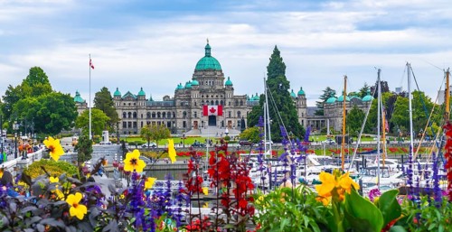 Colorful flowers decorate the inner harbour with the british columbia parliament buildings standing
