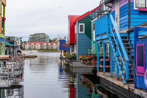 Fisherman's wharf park's vibrant floating homes create a picturesque scene, reflecting their bright