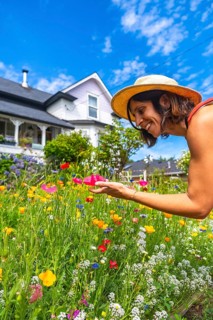 Woman wearing a straw hat is bending over a vibrant wildflower garden in chemainus, vancouver