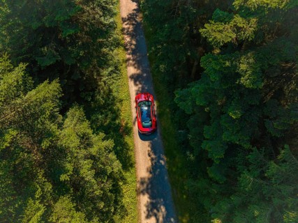 Red car driving on a narrow road through a dense forest in sunny weather, Porsche Taycan, Deer