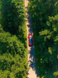 Red car on a narrow path surrounded by thick green forest in sunlight, Porsche Taycan, Deer