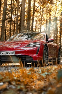 Red car in autumn forest with sunbeams on the license plate, Porsche Taycan, deer car sharing.