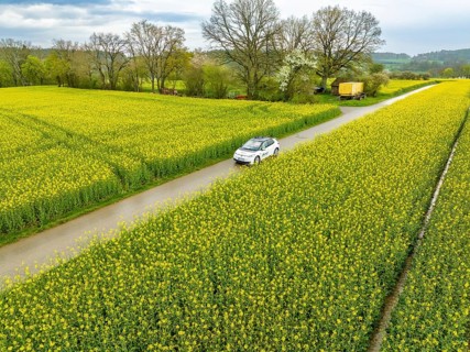 Aerial view of a car on a road through vast fields of yellow flowers, ID3 VW, deer car sharing.