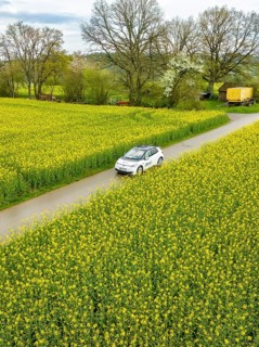 Car drives a narrow road through a large blooming field in daylight, ID3 VW, deer car sharing.