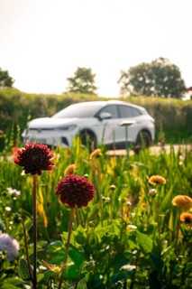 Car in background surrounded by blooming flowers in a meadow, relaxed summer day atmosphere, VW ID4