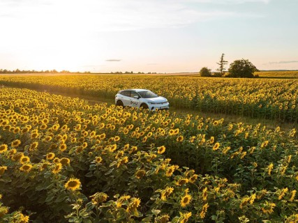 Vehicle driving through a lush sunflower field under the soft evening light, VW ID4 electric car,