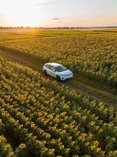 Car driving through a sunflower field at sunset, VW ID4 electric car, Deer Carsharing, Calw,