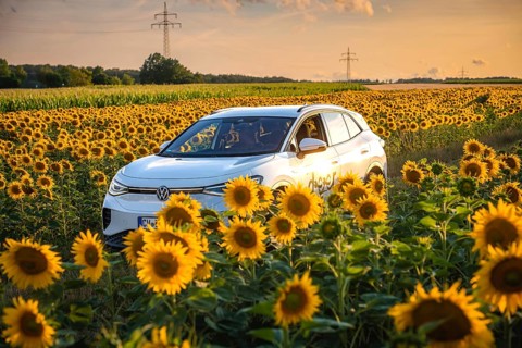 White car in a blooming sunflower field at sunset, rural idyll, VW ID4 electric car, deer car