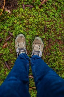 View from above of two feet in shoes standing on moss, Unterhaugstett, Calw district, Germany