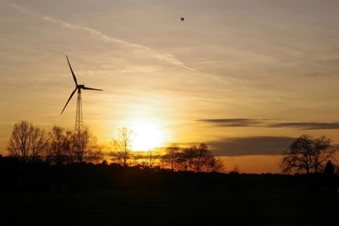 Landscape, wind generator, sunset, orange, atmospheric, winter, Germany, colorful sunset between